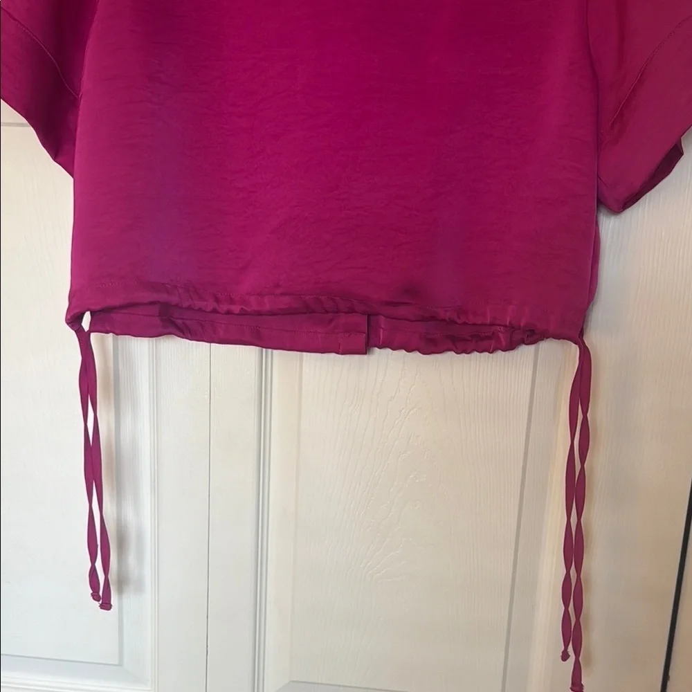 House of Harlow 1960 Pink Button Down Shirt - Picture 6 of 8